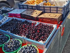 -成寿寺(地铁站)