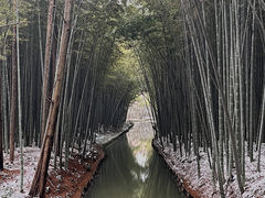 -同里国家湿地公园