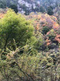 -孟屯河谷景区