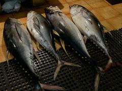 -尼甘布海鲜市场