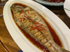 -杨乐辣子鸡(和田一街店)