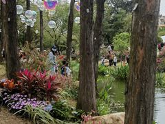 -人民公园(罗湖区)