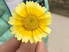 -芦仙山景区-飞越丛林探险乐园