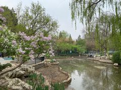 -宣武艺园