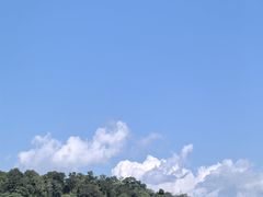-野象谷景区