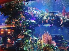 -迪拜帆船酒店海底餐厅