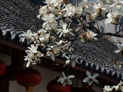 -烟台市博物馆