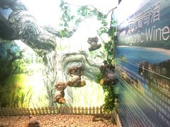 -青岛葡萄酒博物馆