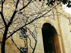 -武汉大学-樱园