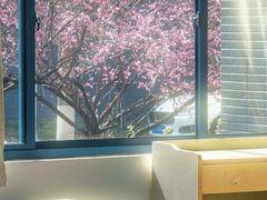 -东南大学(九龙湖校区)