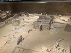 -洛阳周王城天子驾六博物馆