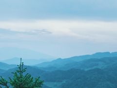 -紫鹊界梯田景区