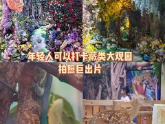 -正佳雨林生态植物园