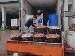 -中国舟山国际水产城