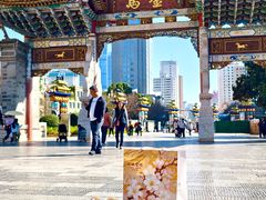 -顺城金记卤鸡·清真