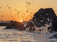 -洲晓鲜·舟山海鲜大排档(朱家尖风景区店)