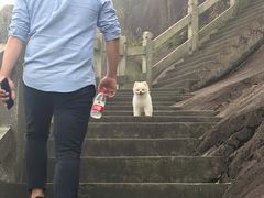 -玉苍山国家森林公园