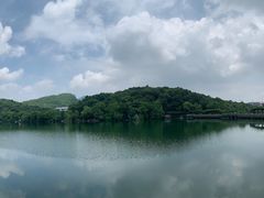 -杭州半山国家森林公园