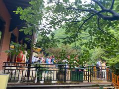 -将军关探险漂流