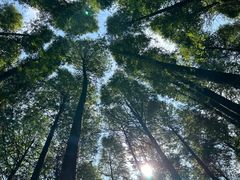 -山王坪喀斯特国家生态公园