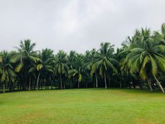 -白沙门生态公园