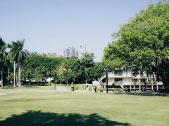 -溪岸路花鸟市场