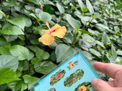 -南宫五洲植物乐园