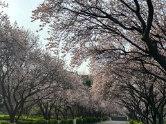 -山东师范大学(千佛山校区)