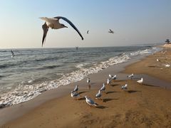 -老虎石海上公园