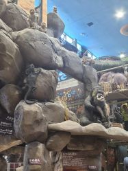 -卡通尼·Safari非洲探索乐园·生日会(金桥国际商业广场店)