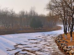 -大兴滨河森林公园