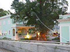 -龙环葡韵住宅式博物馆