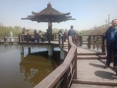 -前关湿地公园