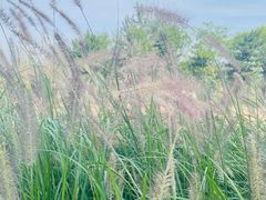 -汉长安城未央宫国家考古遗址公园