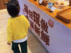 -小淘圆儿·四季口味蛋糕