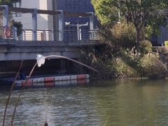 -上海海事大学(临港校区)