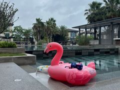 -鹭江潮餐厅•福建菜(鹭江佲家酒店)