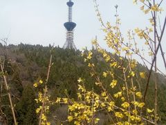 -府君山公园