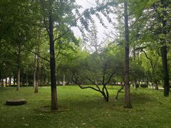 -莲湖公园