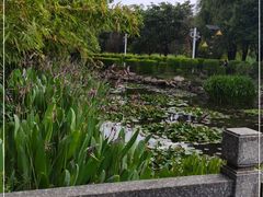 -洱海月湿地公园