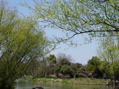 -西溪国家湿地公园