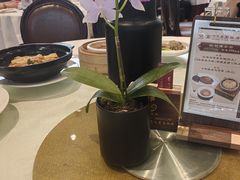 -金河半岛园林酒家(金融城店)