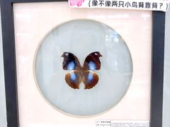 -深圳龙华星河COCO City(民治店)