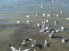 -青海湖仙女湾景区