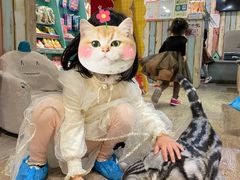 -小时光咖啡馆(开森度假森林店)