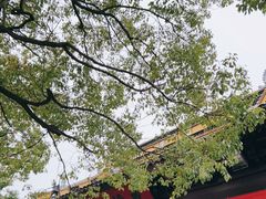 -西园戒幢律寺