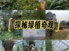 -国家植物园南园