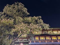-夫子庙秦淮河画舫