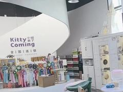 -小猫来了·猫咪专售(红山六九七九店)