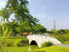 -王借岗森林公园